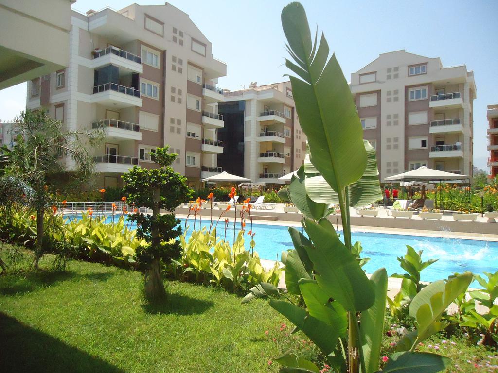 Apartment Roza *