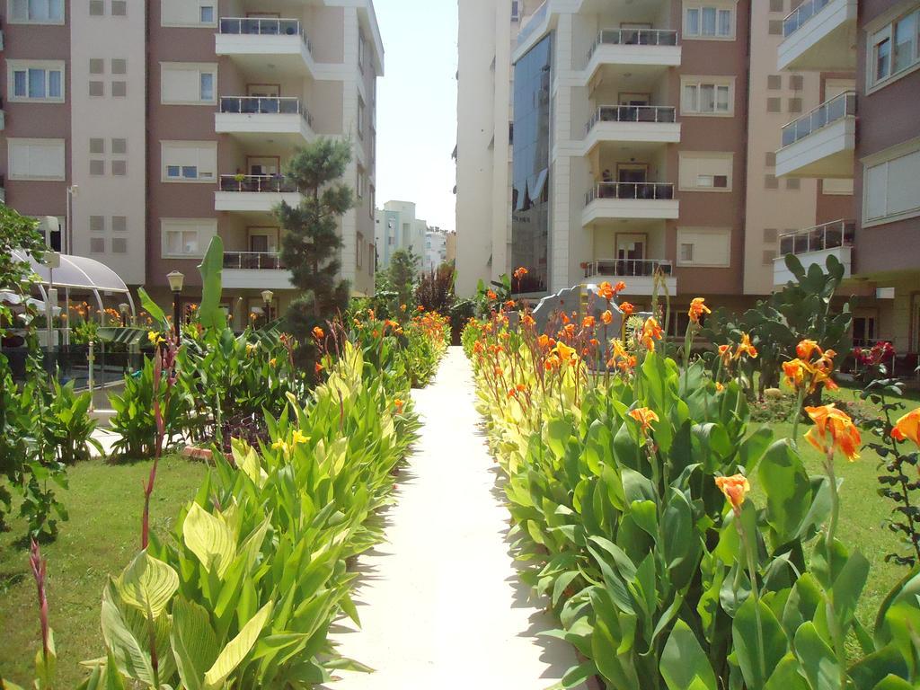 Roza Apartment