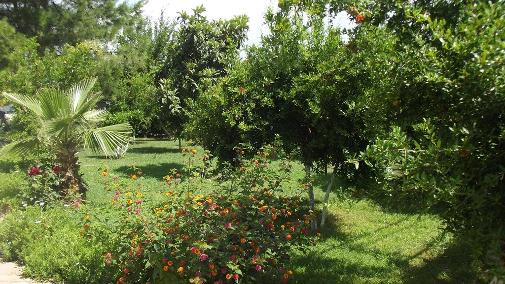 Gurkan Aparthotel 2*