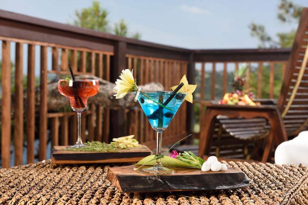Sarpedor Boutique Hotel Torba