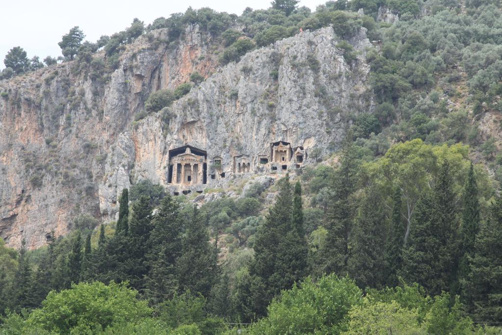 Palmyra Dalyan