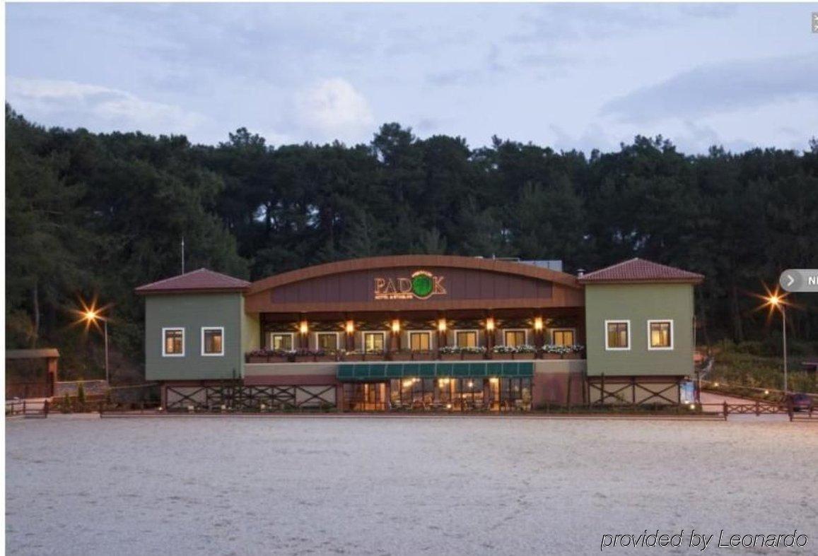 Padok Premium & Stables 4* Gokova