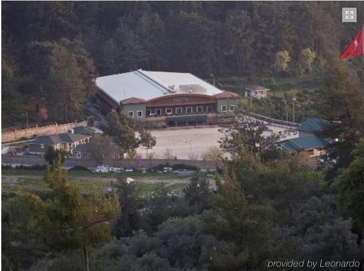 Padok Premium & Stables 4* Gokova