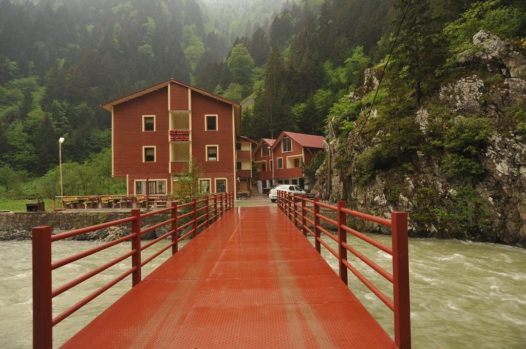 Soylu Uzungol