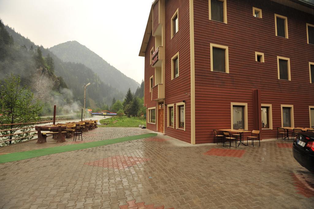 Soylu Uzungol