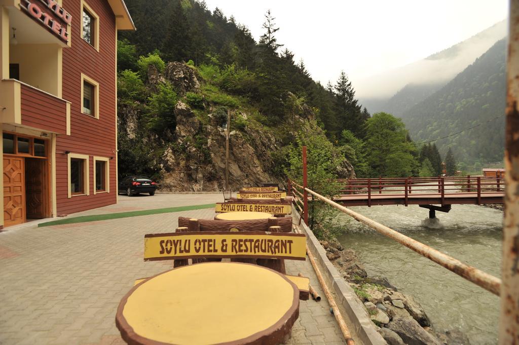 Soylu Uzungol