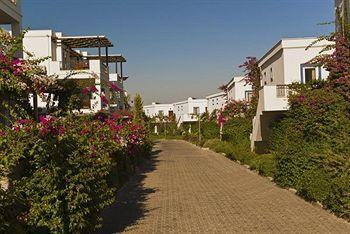 Aparthotel Aktur