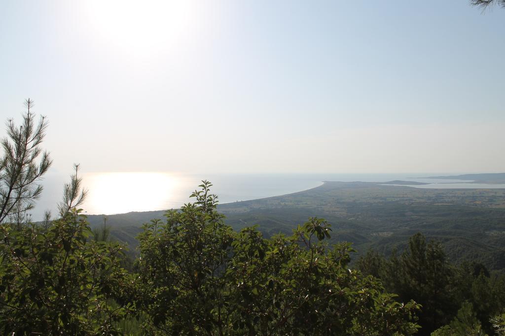 Tuzcuoglu Homestay