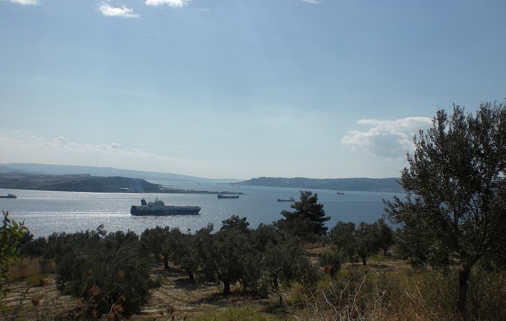 Tuzcuoglu Homestay