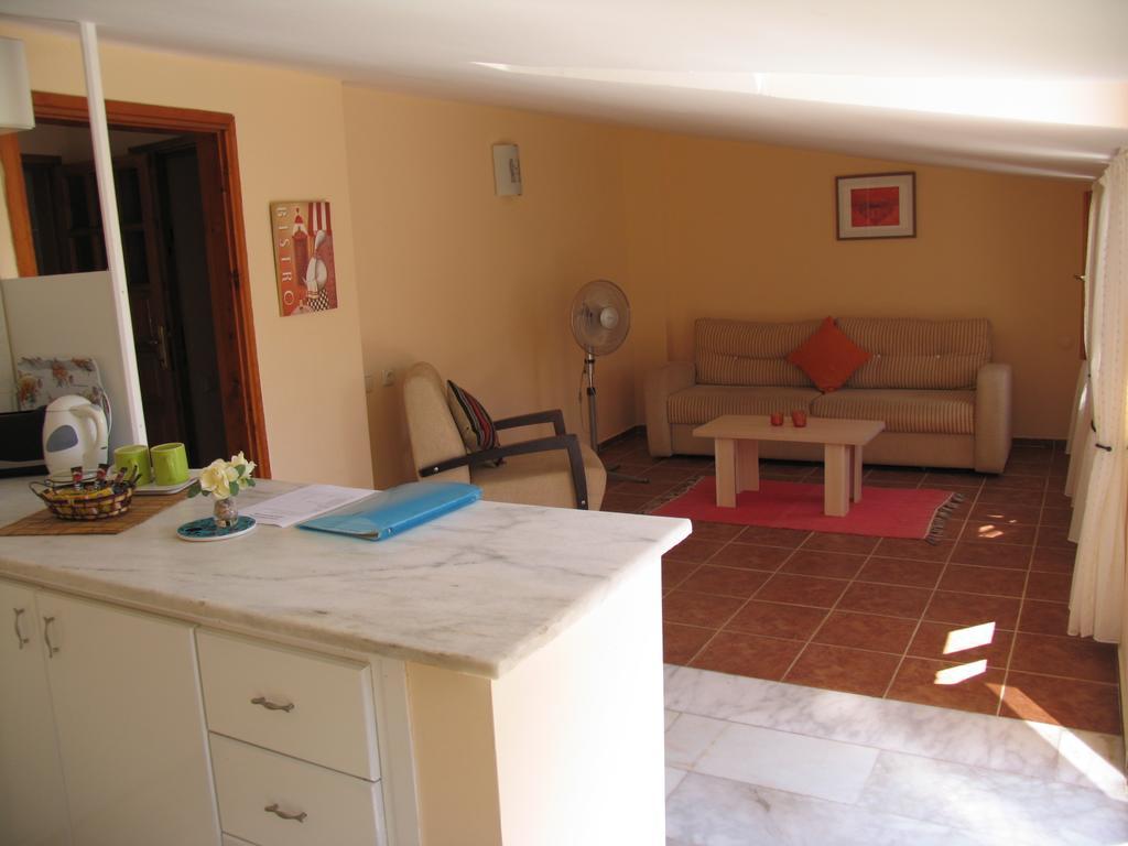 Pasha * Kalkan