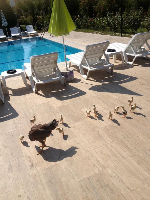 Melodi Club Davutlar
