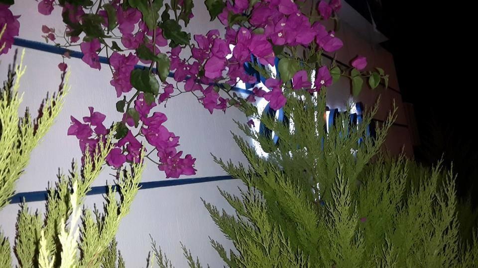 Hotel Antonio 2*