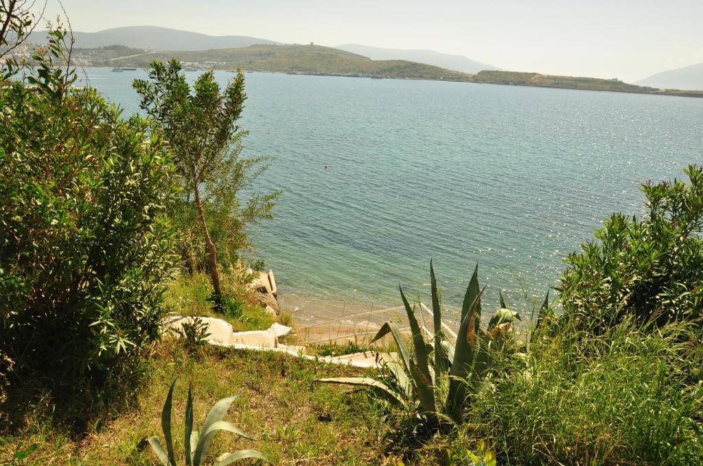 Akvaryum Gumbet