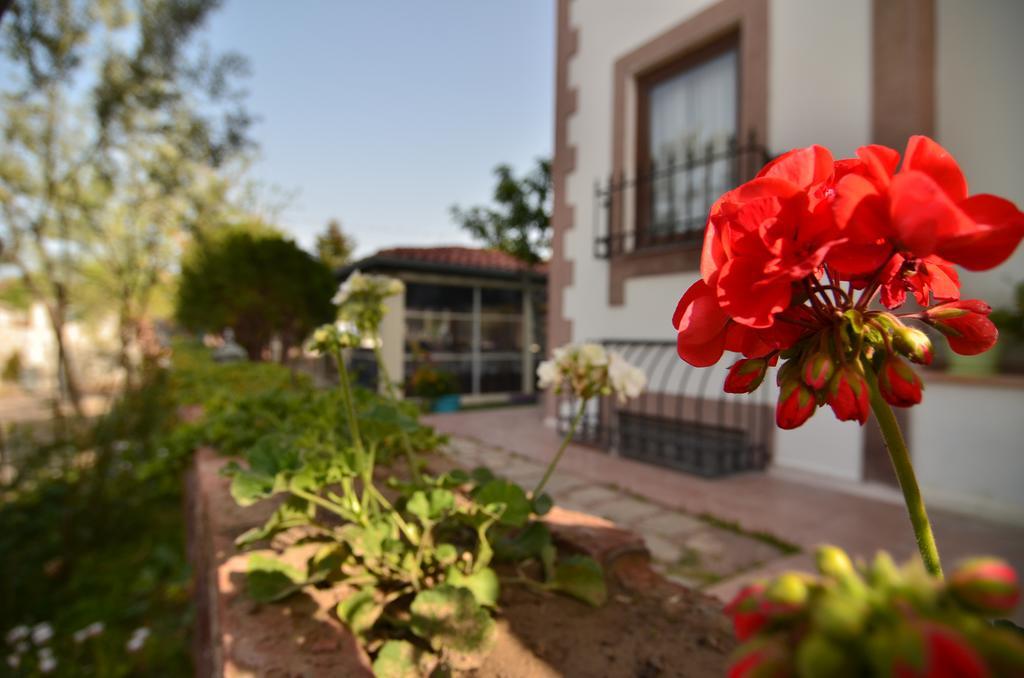 Guest house Cunda Nesos *