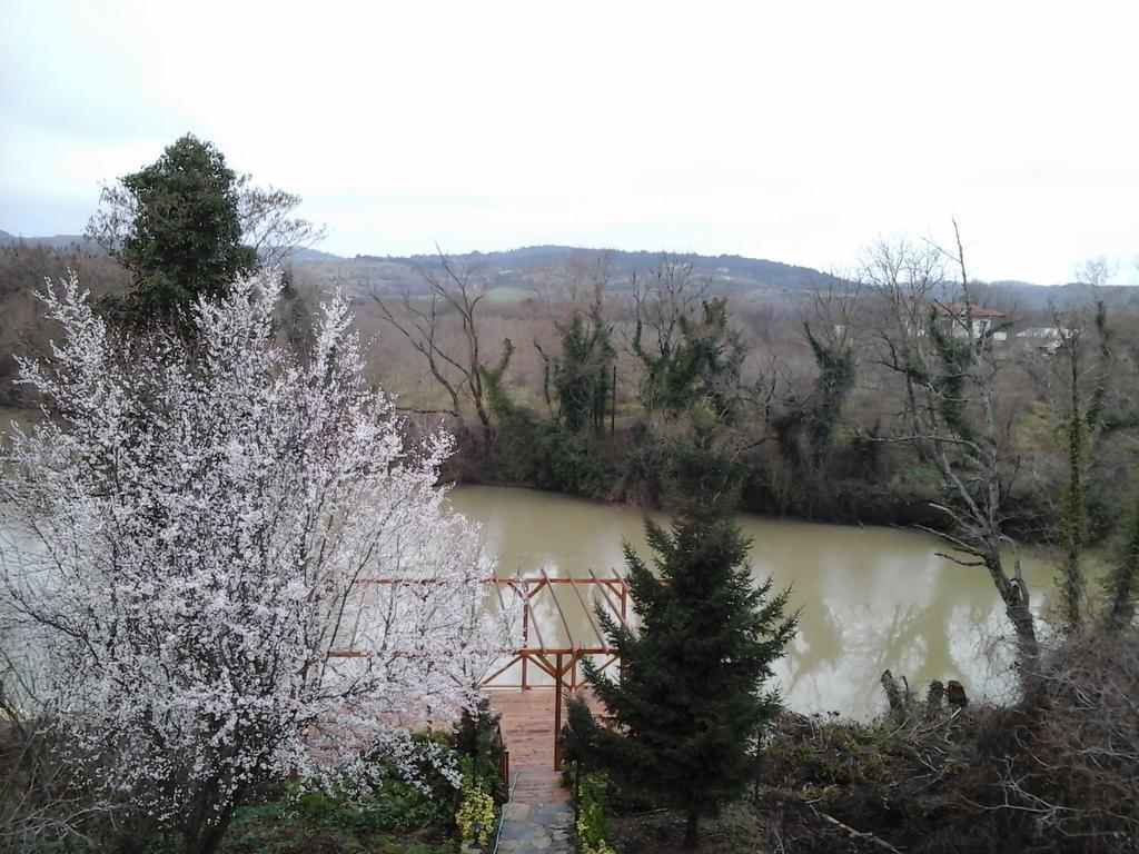 Vira Creek House Bed & Breakfast Agva (Marmara)