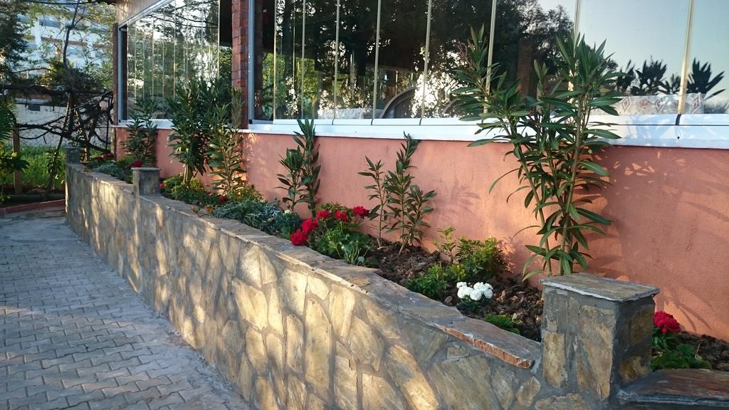 Hotel Gruen Kizilot