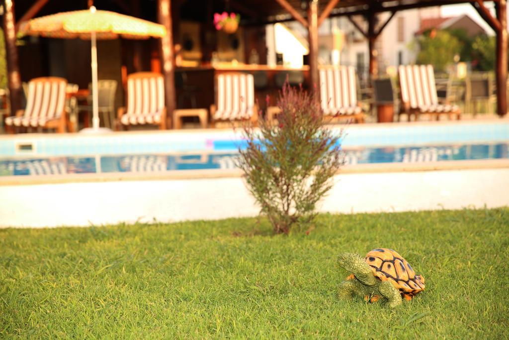 Hotel Sunshine Boutique