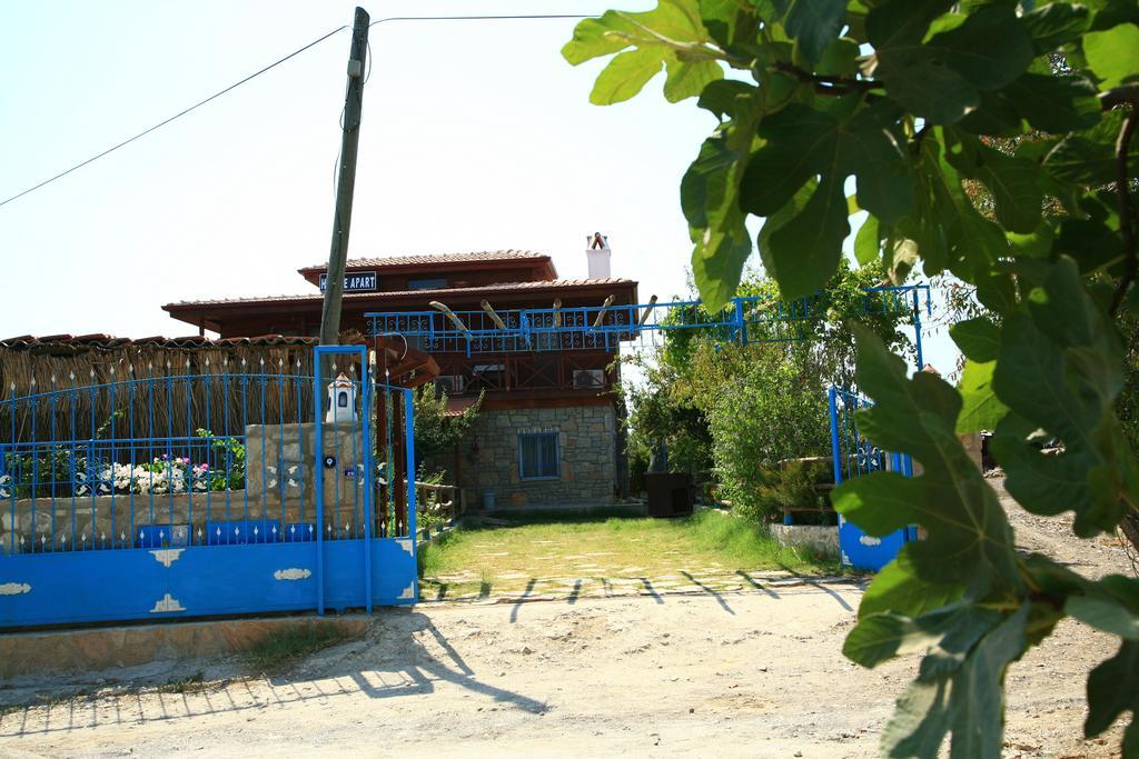 Halise Homestay *