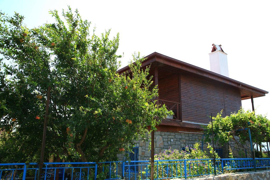 Halise Homestay Kizlan