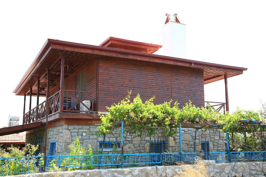 Homestay Halise