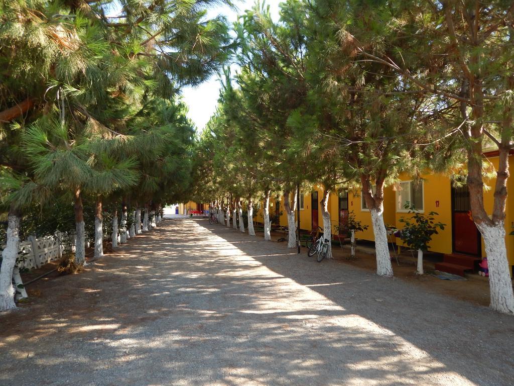Koru Beach Club
