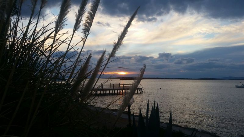 Medis Resort