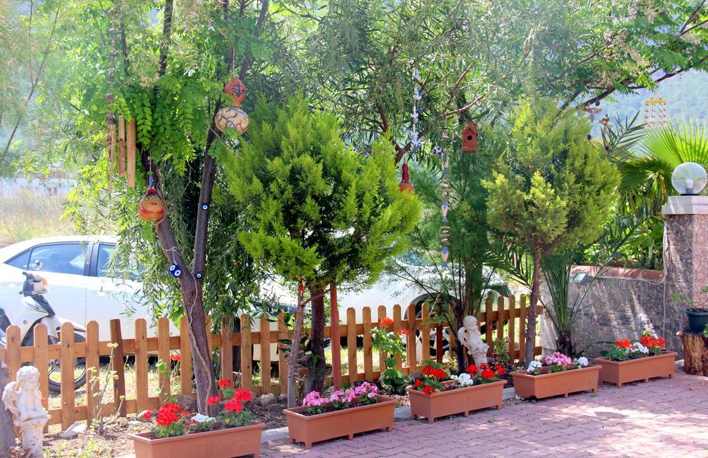 Shambala Homestay