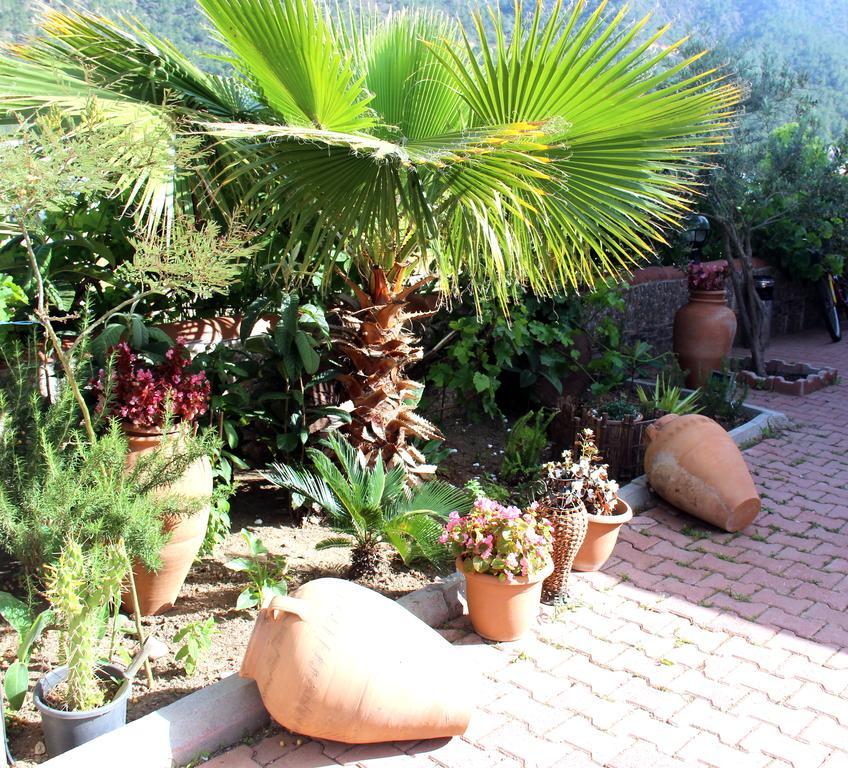 Shambala Homestay *