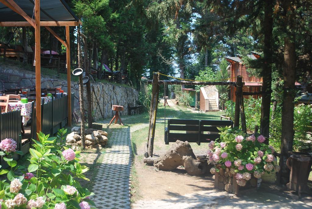 Forest Lodge