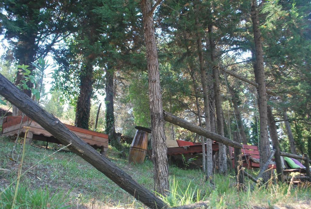 Lodge Forest *