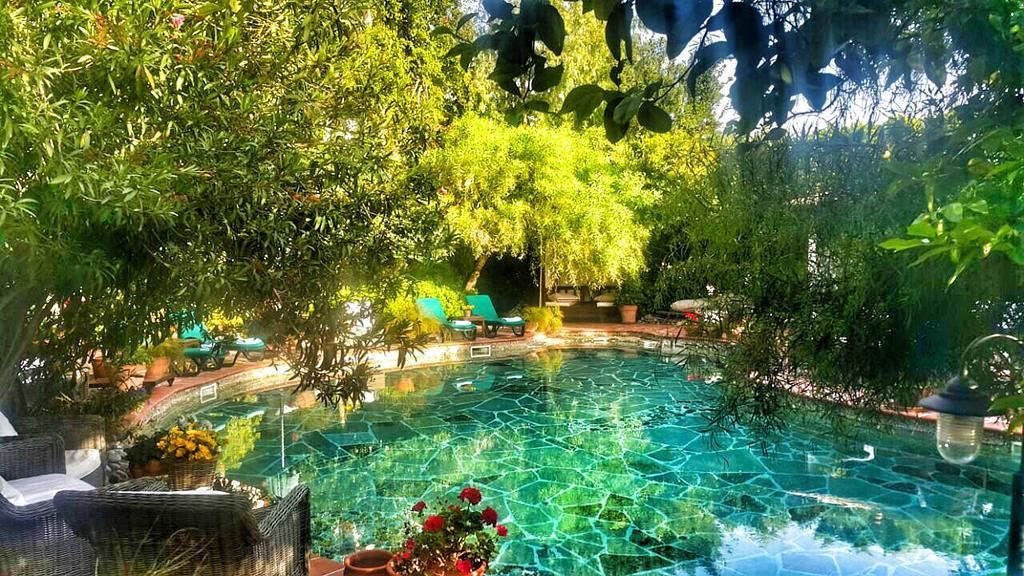 El Vino & 4* Bodrum