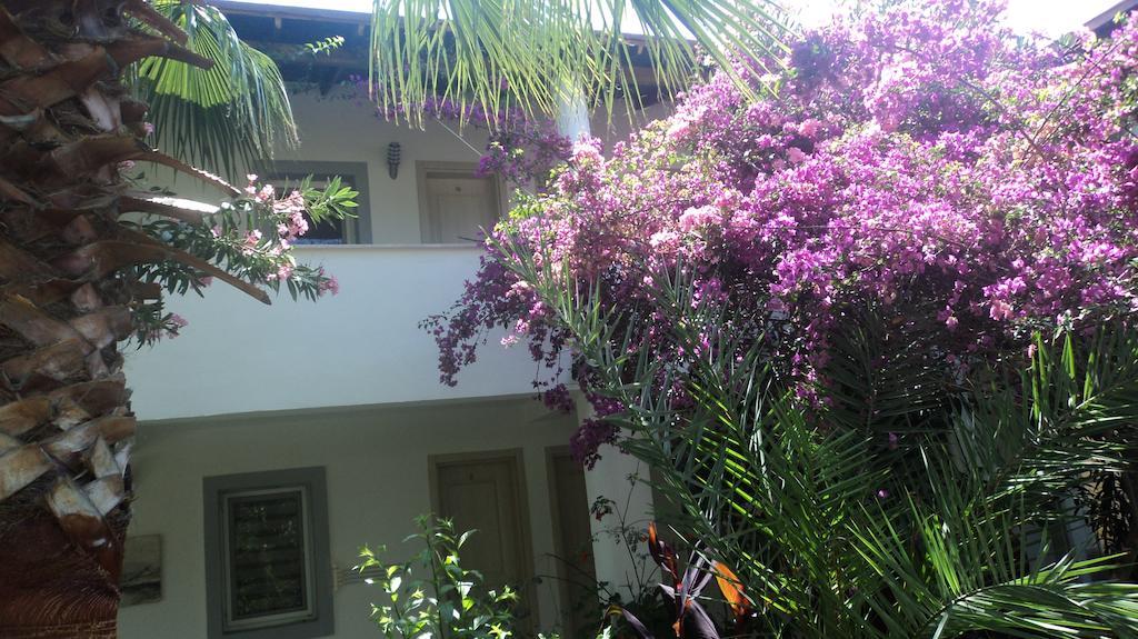 Gunisigi Bed & Breakfast *