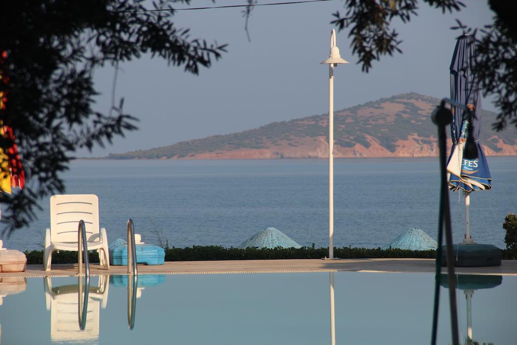 Ege & Ayvalik
