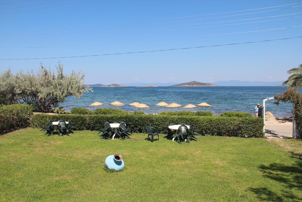 Ege & Ayvalik