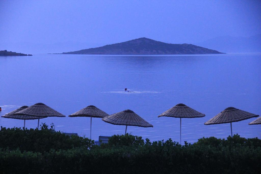 Ege & Ayvalik
