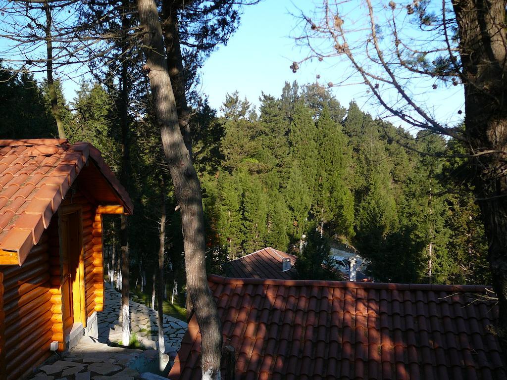 Lodge Forest Agva (Marmara)
