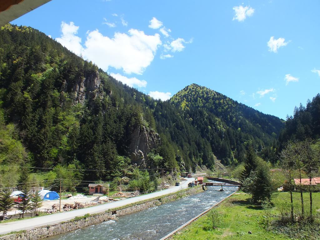 Hotel Soylu Uzungol