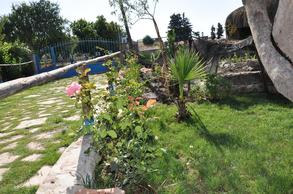 Halise Homestay Kizlan