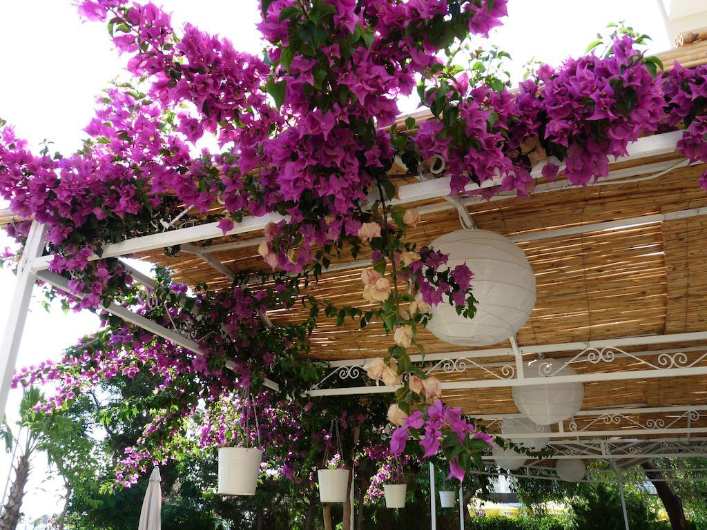 Hotel Palmiye Ozdere