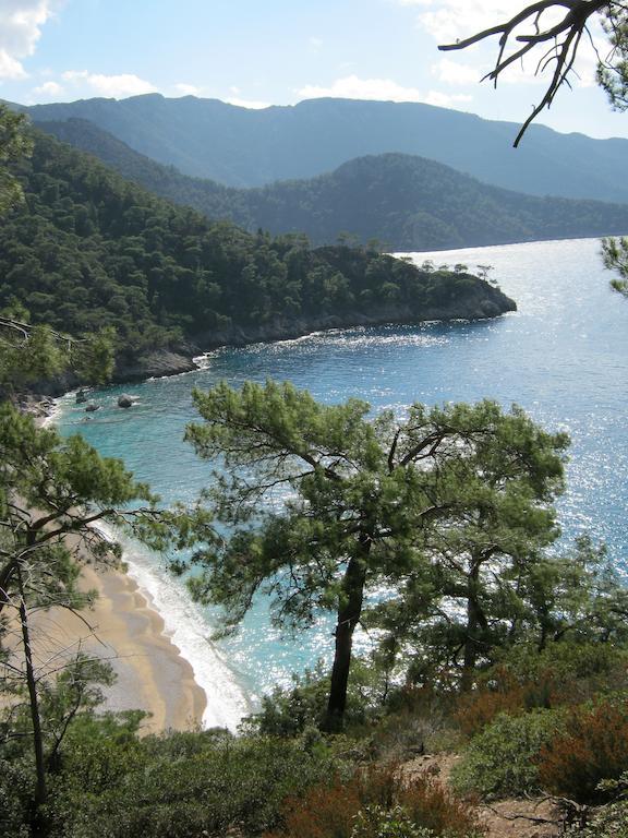 Resort Yuva Eco Holiday Yoga Retreat Faralya