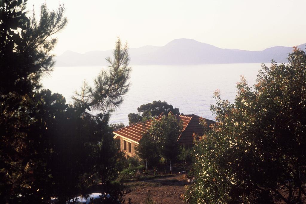 Resort Yuva Eco Holiday Yoga Retreat