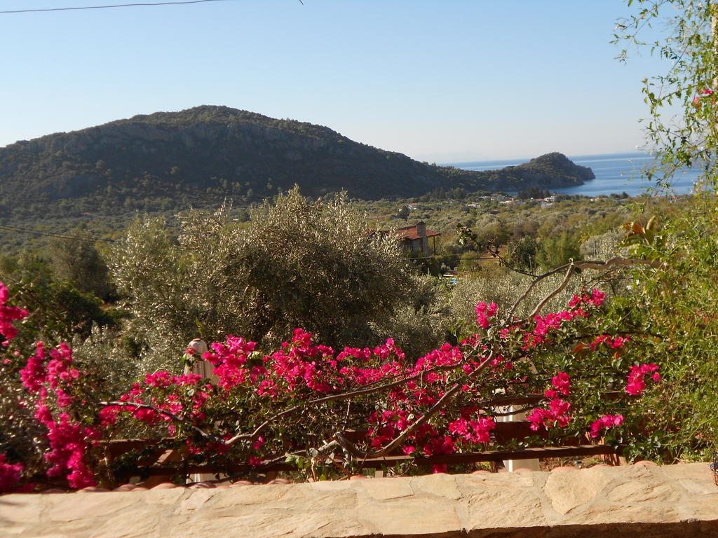 Apartment Narlidere *