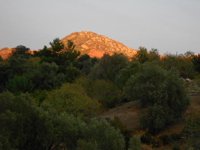 Narlidere Mesudiye (Datca)