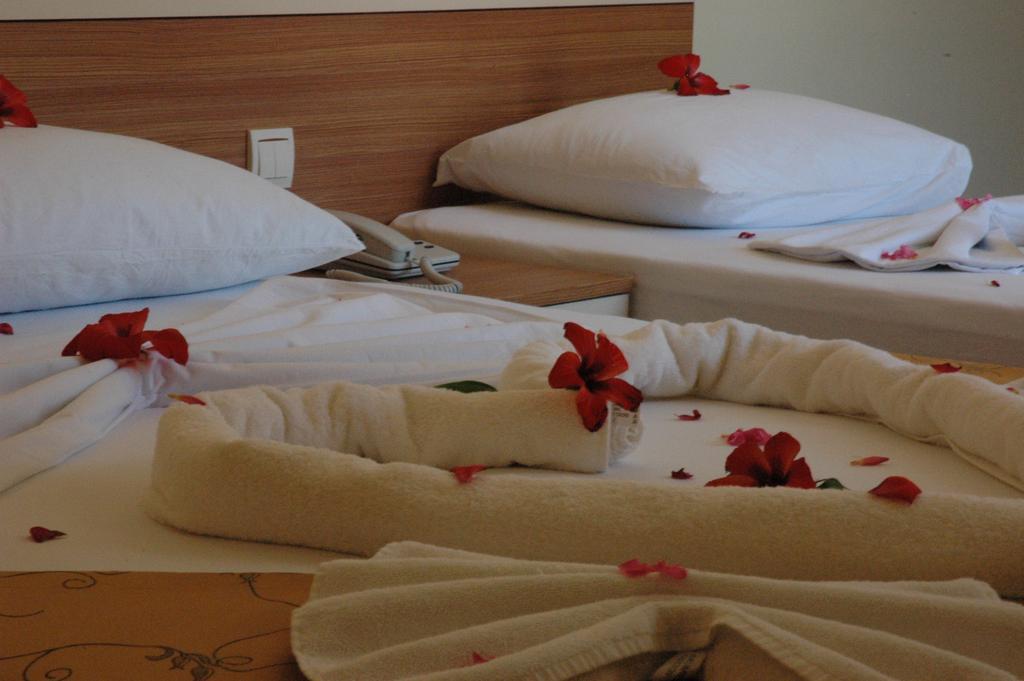 Bed & Breakfast Ercan Icmeler