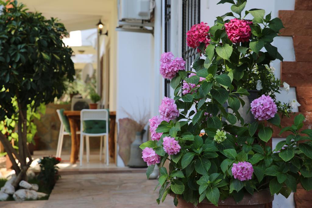 Limon Apart Akyaka (Mugla)
