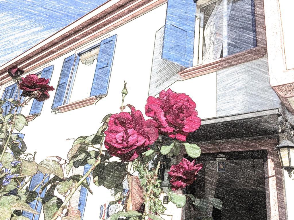 Duru Ayvalik