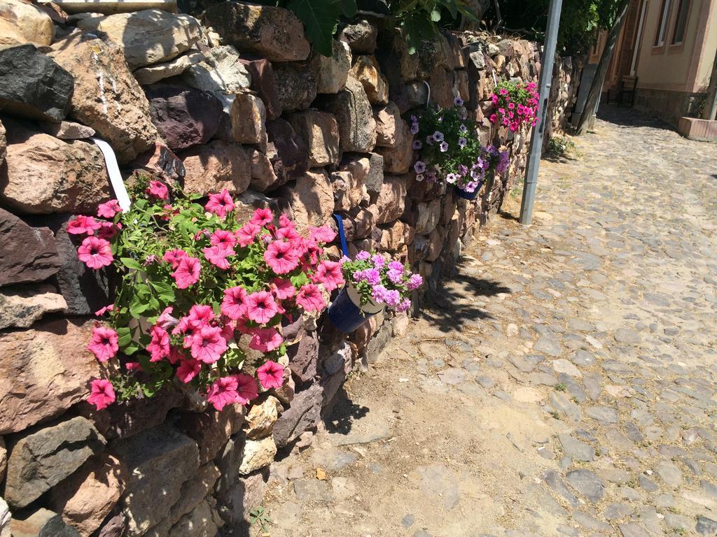 Hotel Duru Ayvalik