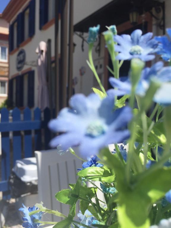 Duru Ayvalik