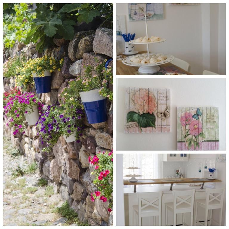 Duru Ayvalik
