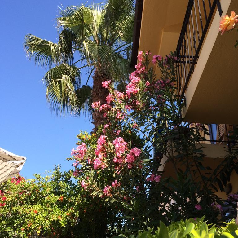 Danlin Gocek (Fethiye)